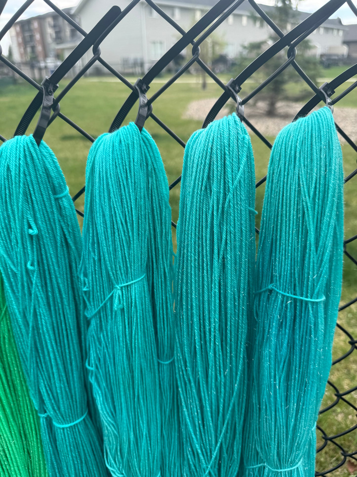 Robin's Egg Blue
